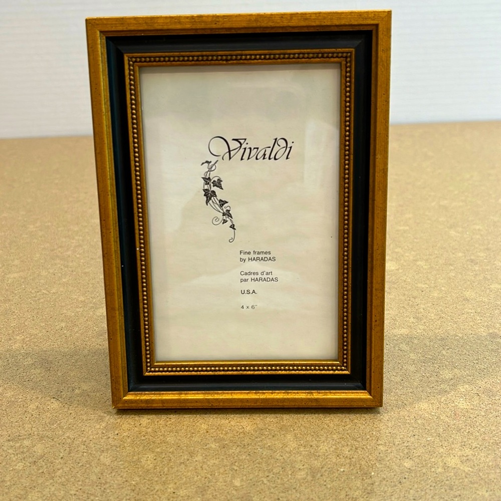 Vivaldi Fine 4x6 Frame Gold & Black with beaded trim